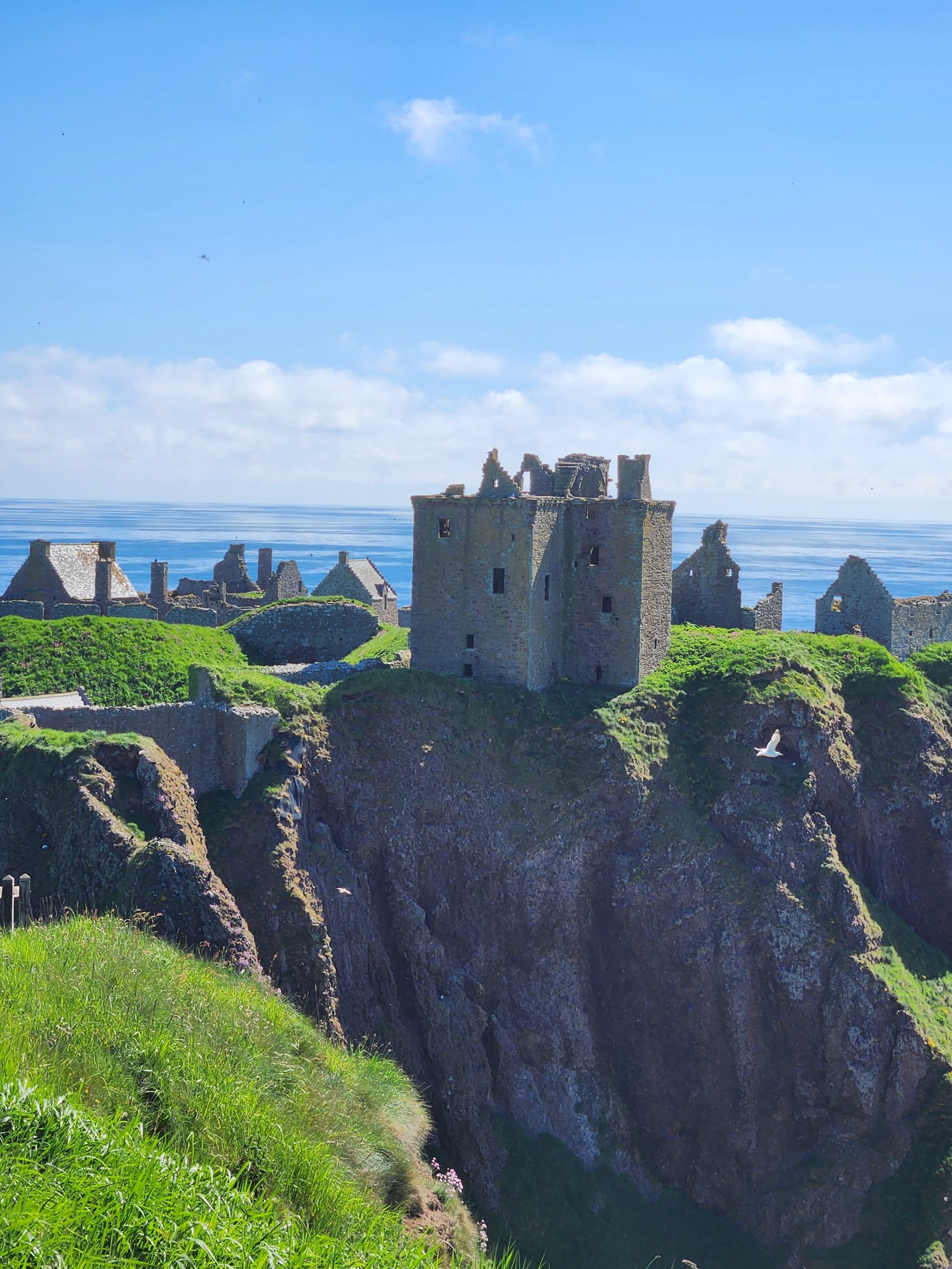 Magnificent Scotland Tours