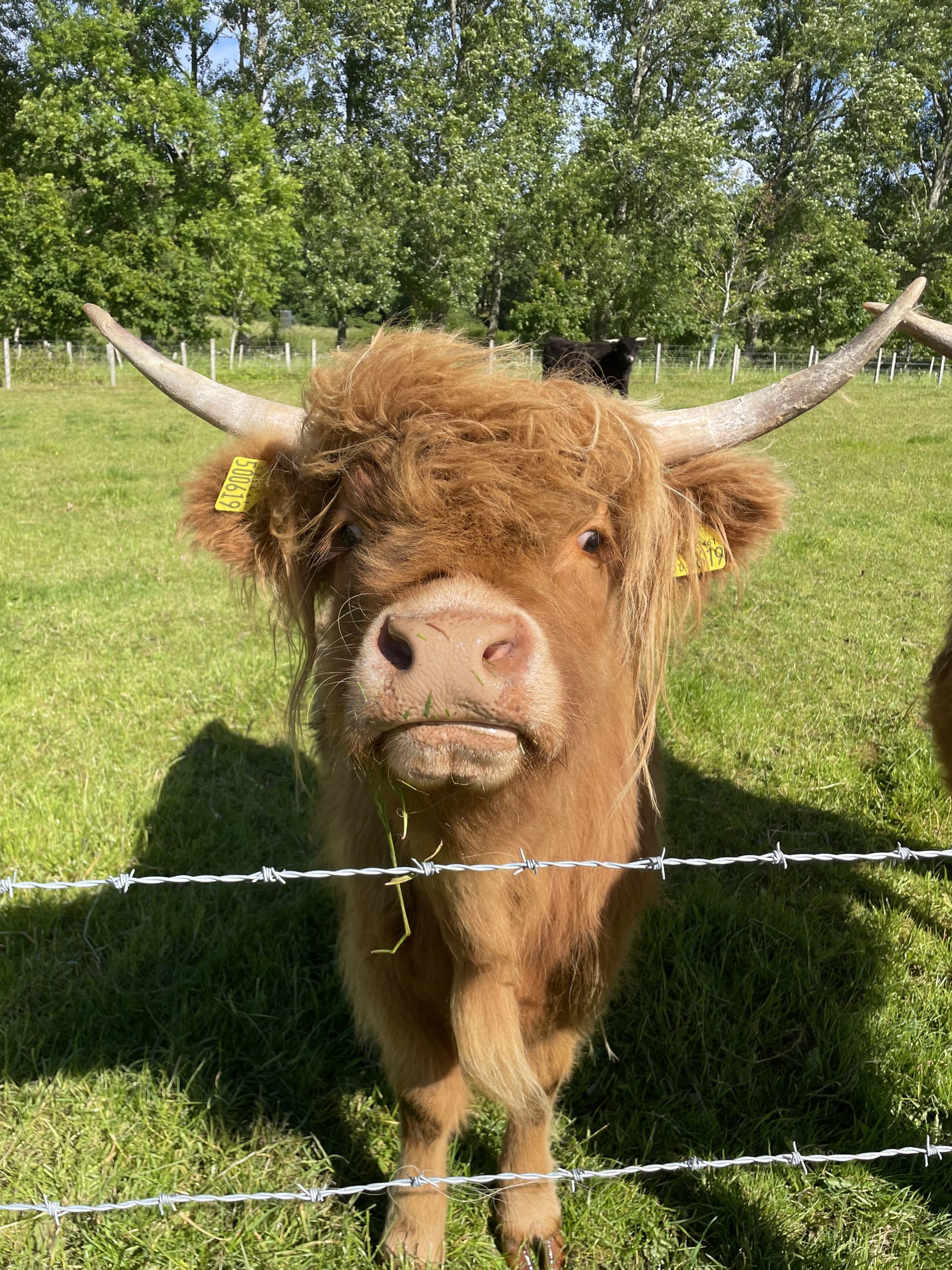 Highland legends private tours